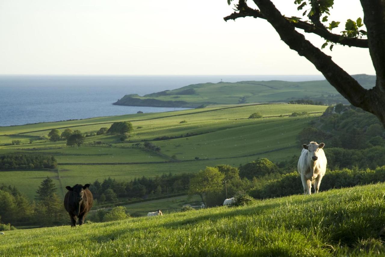 Orroland Holiday Cottages Dundrennan Kültér fotó